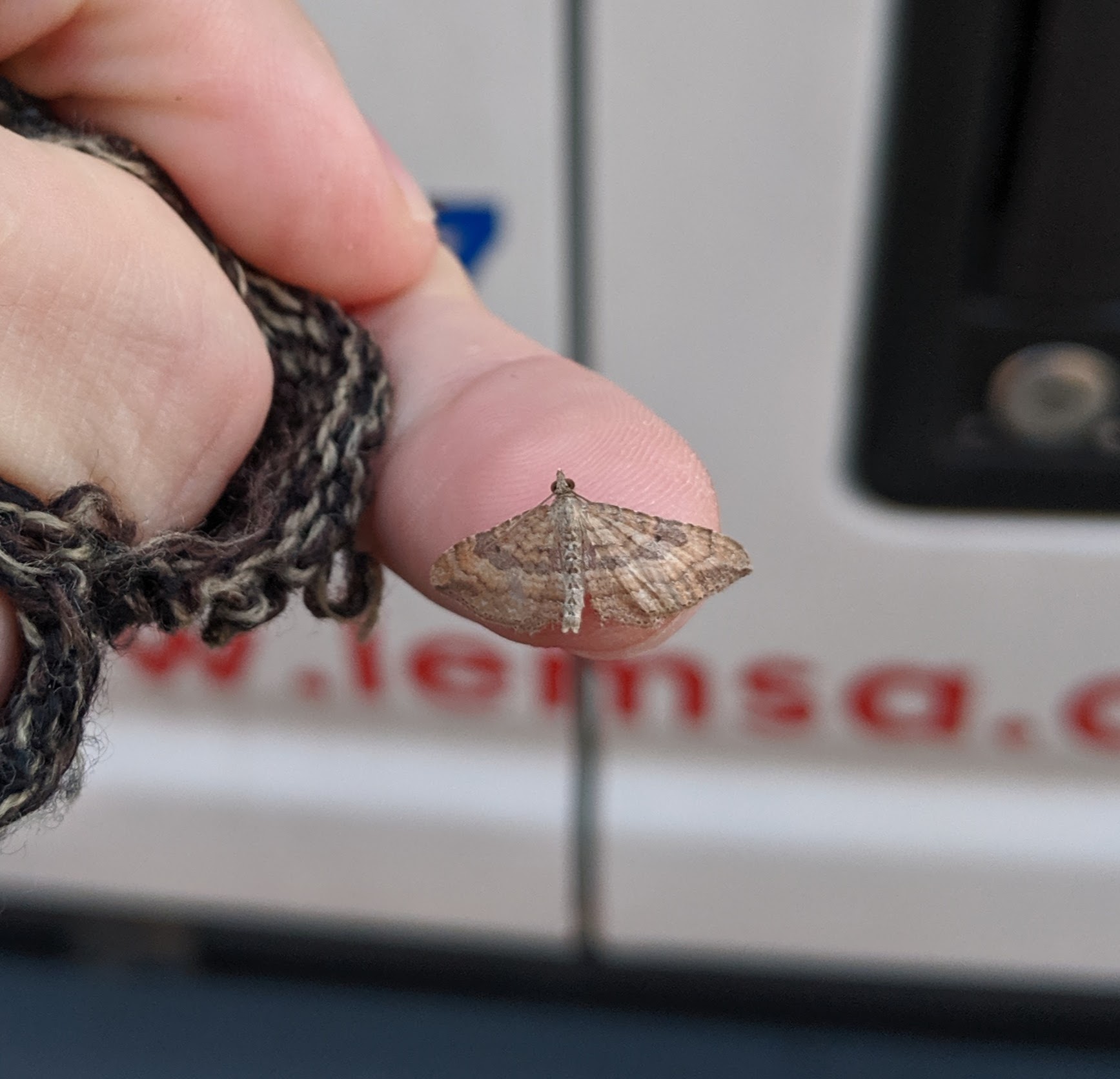 So tiny!_20191028.jpg